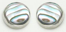 Earrings and  circle in shell