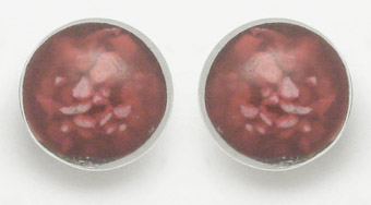 Earrings and  circle of resin
