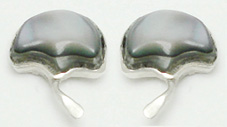 Earrings sunshade in shell