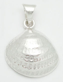 Pendant  on smooth shell