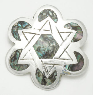 Brooch flower and star shell